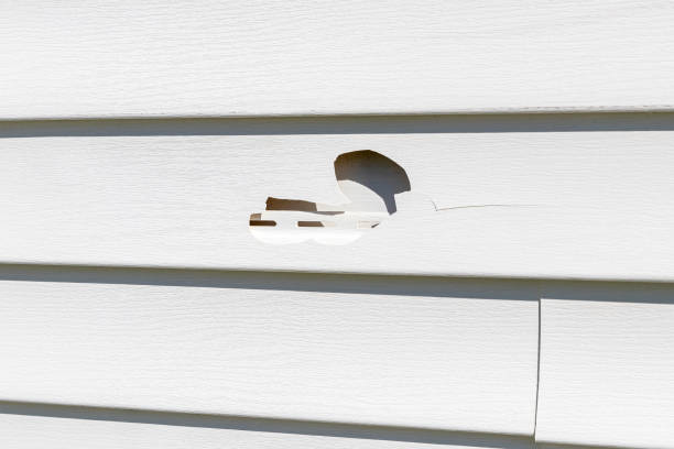  Sandoval, IL Siding Installation Pros